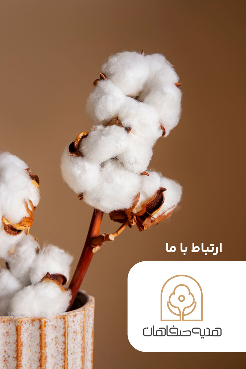 یبیب